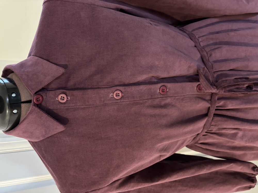 Tilly and the Buttons Lyra dress