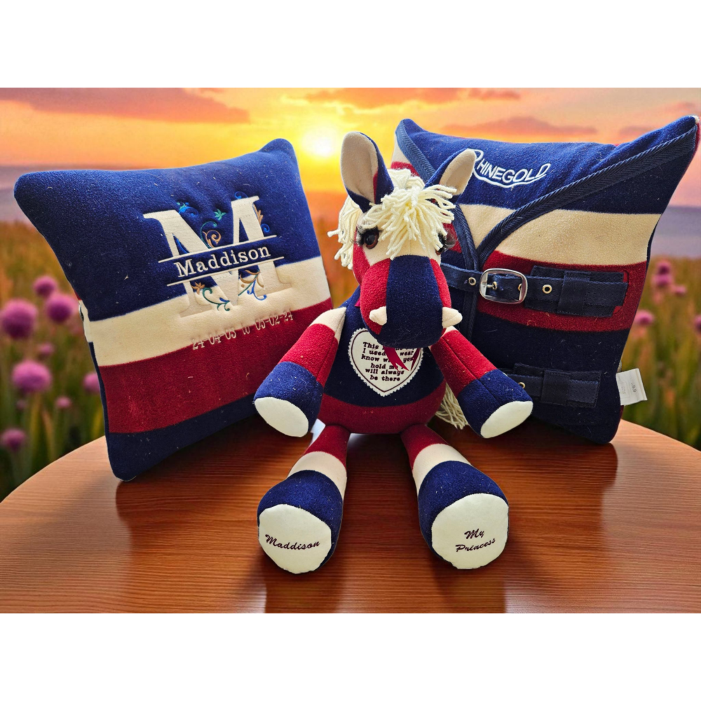 Memory bear and pillow