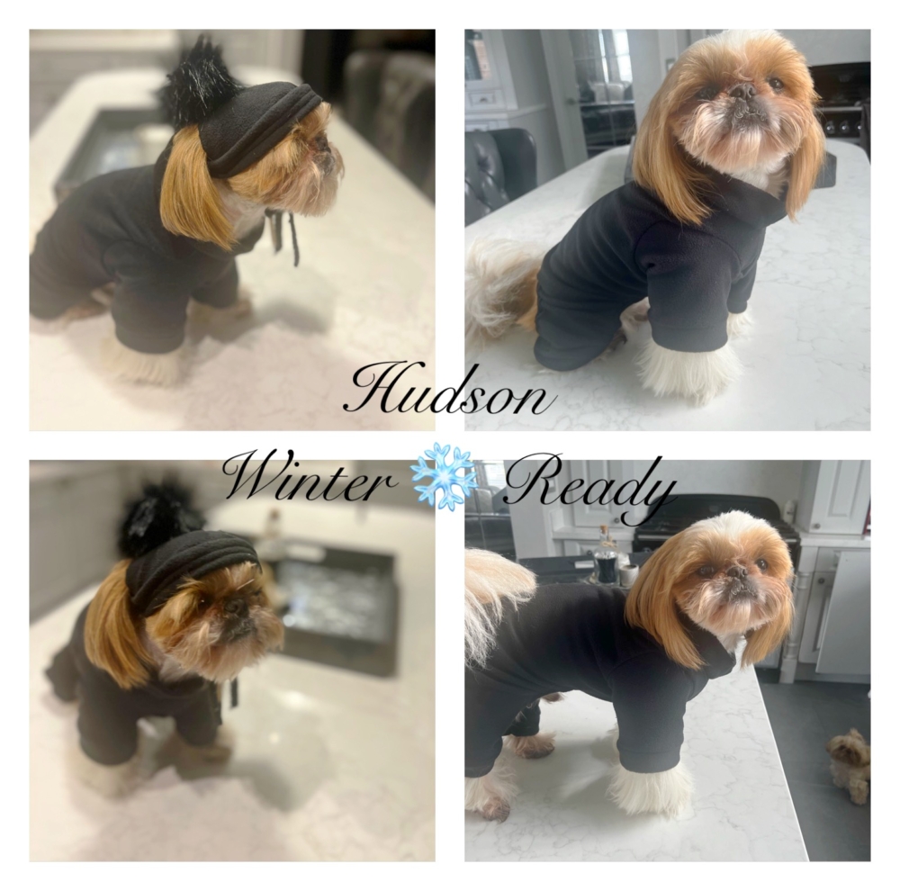 Coverstitch machine guts a game changer