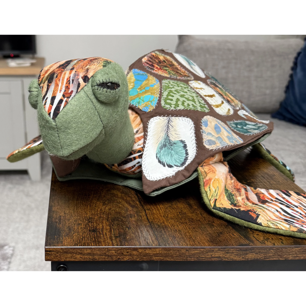 Mr Turtle