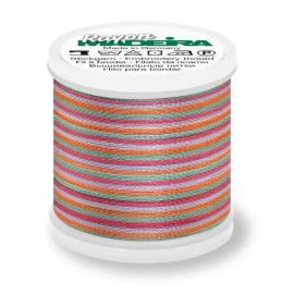 Madeira 9840_2141 | Rayon Multicolor Embroidery Thread 200m | Blue/Rust/Green