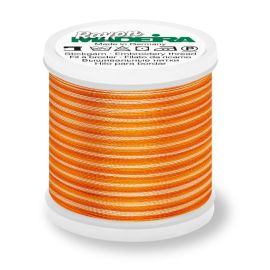 Madeira 9840_2053 | Rayon Multicolor Embroidery Thread 200m | Ombre Oranges